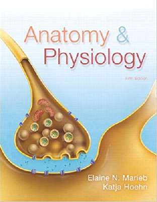 Anatomy & Physiology