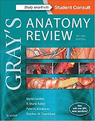 Gray's Anatomy Review