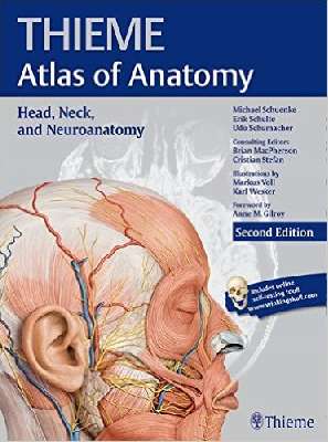 :Atlas of Anatomy Head, Neck, and Neuroanatomy