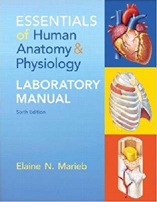 Essentials of Human Anatomy & Physiology Laboratory Manual