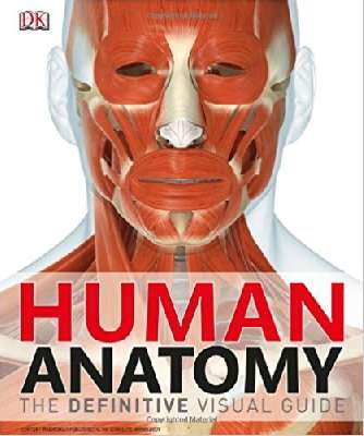 Human Anatomy