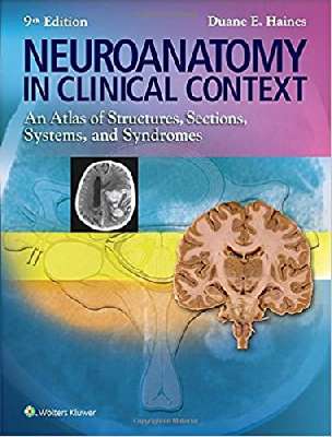 Neuroanatomy in Clinical Context: An Atlas of Structures, Sections, Systems, and Syndromes