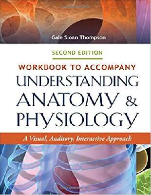 Workbook to Accompany Understanding Anatomy & Physiology