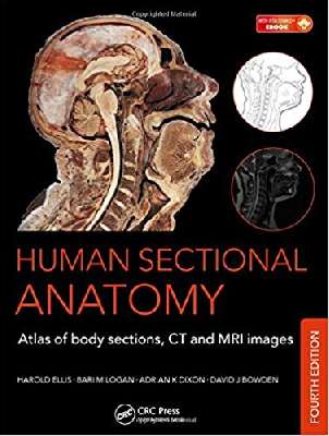 HUMAN SECTIONAL ANATOMY