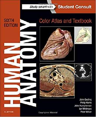 HUMAN ANATOMY