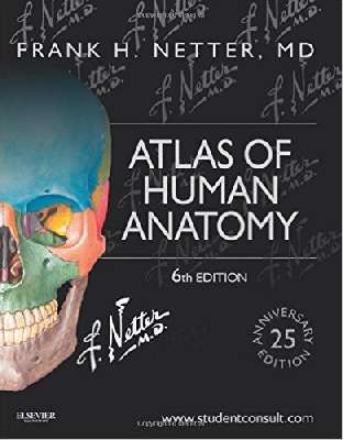 Netter Human Anatomy