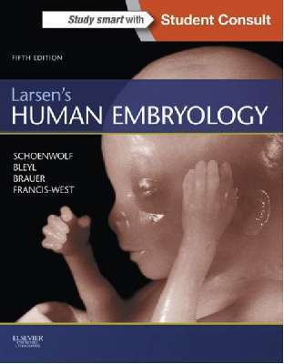 Larsen's Human Embryology