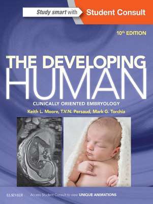The Developing Human: Clinically Oriented Embryology 