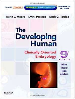 Moor The Developing Human ... Embryology