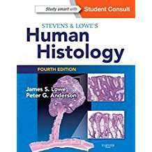 Stevens & Lowe's Human Histology, 4e (HUMAN HISTOLOGY (STEVENS))