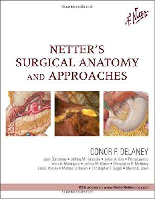 Netter's Surgical Anatomy and Approaches