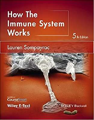 How the Immune  System Works