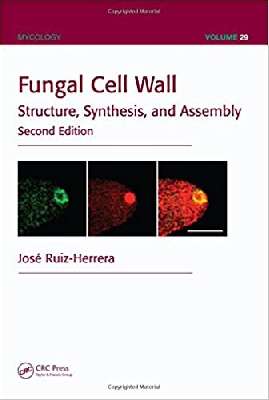 Fungal Cell Wall: Structure, Synthesis, and Assembly