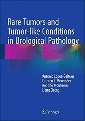 Rare Tumors and Tumor-like Conditions in Urological Pathology