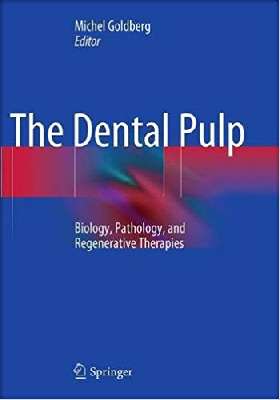   The Dental Pulp    