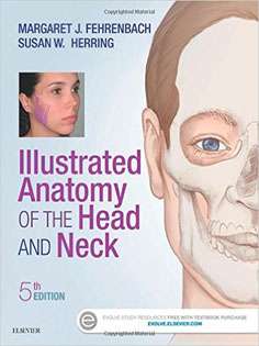 Illustrated Anatomy of the Head and Neck