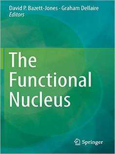 The Functional Nucleus