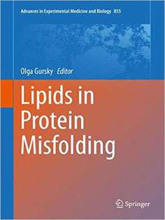 Lipids in Protein Misfolding