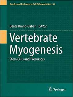 Vertebrate Myogenesis: Stem Cells and Precursors