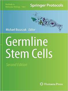 Germline Stem Cells