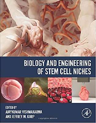 Biology and Engineering of Stem Cell Niches