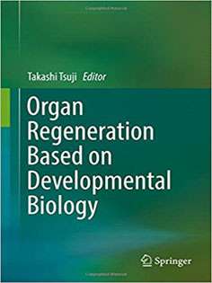 Organ Regeneration Based on Developmental Biology