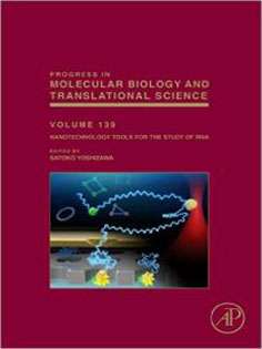 Nanotechnology Tools for the Study of RNA :Progress in Molecular Biology and Translational Science