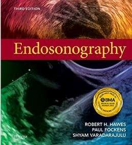 Endosonography