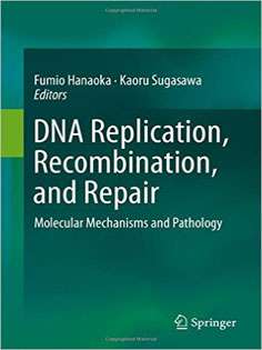 DNA Replication, Recombination, and Repair