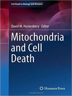 Mitochondria and Cell Death