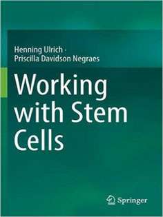 Working with Stem Cells