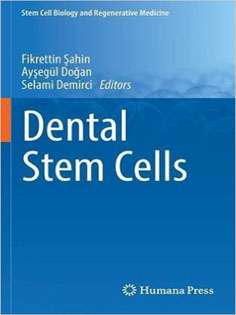 Dental Stem Cells