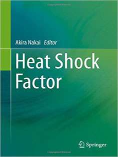 Heat Shock Factor