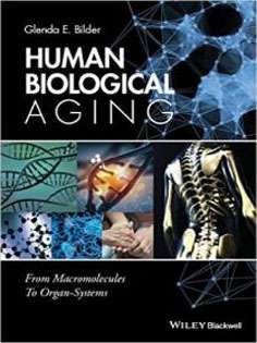 Human Biological Aging: From Macromolecules To Organ Systems