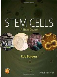 Stem Cells: A Short Course