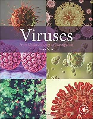 Viruses: From Understanding to Investigation