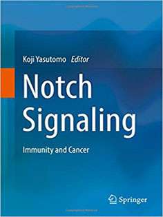 Notch Signaling: Immunity and Cancer1