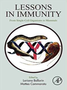 Lessons in Immunity: From Single-cell Organisms to Mammals