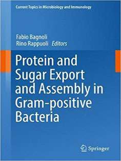 Protein and Sugar Export and Assembly in Gram-positive Bacteria