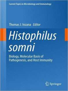 Histophilus somni: Biology, Molecular Basis of Pathogenesis, and Host Immunity