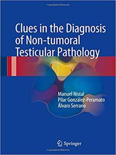 Clues in the Diagnosis of Non-tumoral Testicular Pathology