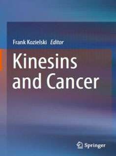 Kinesins and Cancer