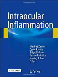 Intraocular Inflammation 2 Vol