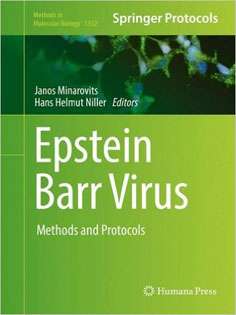 Epstein Barr Virus: Methods and Protocols