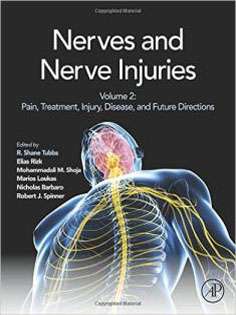 Nerves and Nerve Injuries: Vol 2: Pain, Treatment, Injury, Disease and Future Directions