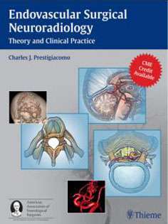 Endovascular Surgical Neuroradiology: Theory and Clinical Practice