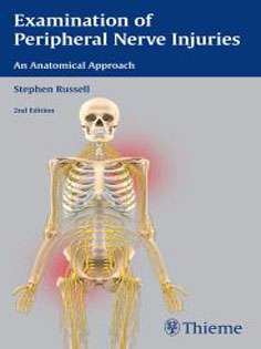 Examination of Peripheral Nerve Injuries: An Anatomical Approach