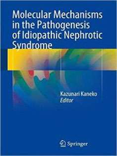 Molecular Mechanisms in the Pathogenesis of Idiopathic Nephrotic Syndrome