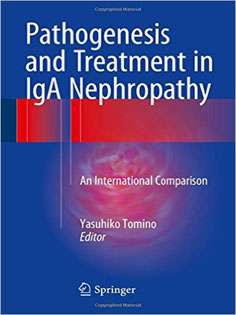 Pathogenesis and Treatment in IgA Nephropathy