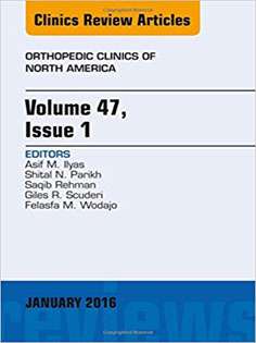 Volume 47, Issue 1, An Issue of Orthopedic Clinics